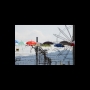 parapluie kreis 5 ZH